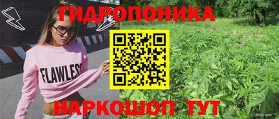 гашиш Краснознаменск
