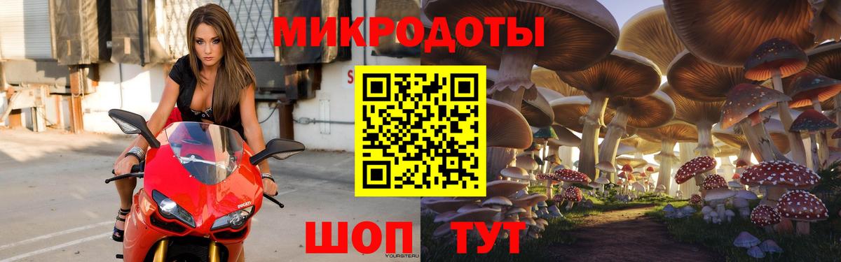 Галлюциногенные грибы Cubensis  Псилоцибиновые грибы прущие грибы  Вход с VPN  Бугуруслан 